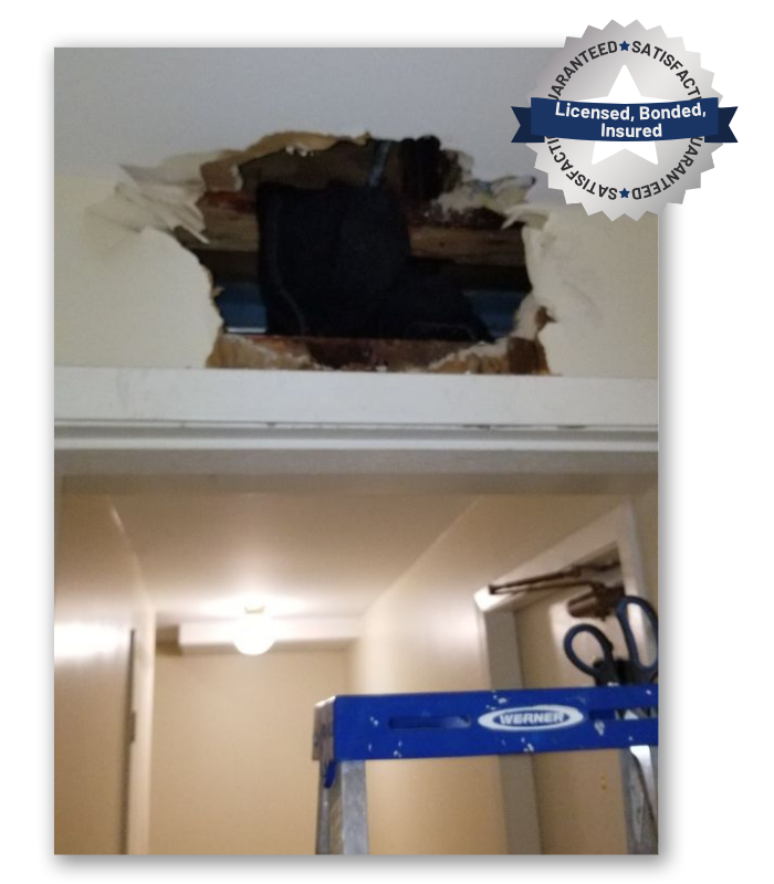 Professional Emergency Plumbing Services Near You