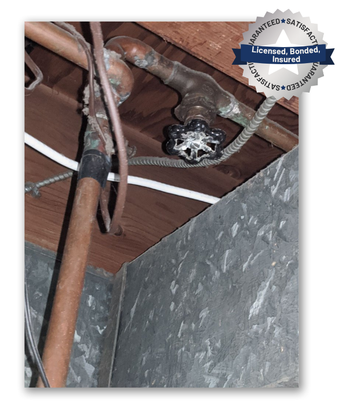 Professional Pipe Leak Repair Services Near You